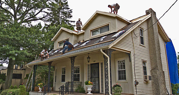 Best New Roof Installation  in Syracuse, NE